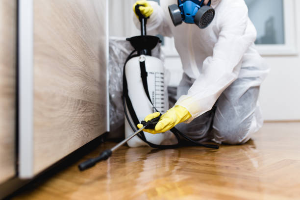 Best Local Pest Control Services  in Marengo, IA
