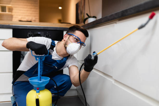 Wasp Removal Services in Marengo, IA