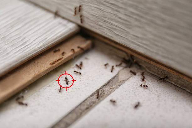 Best Best Pest Control Companies  in Marengo, IA