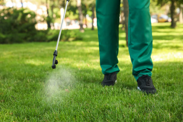 Best Pest Control Near Me  in Marengo, IA