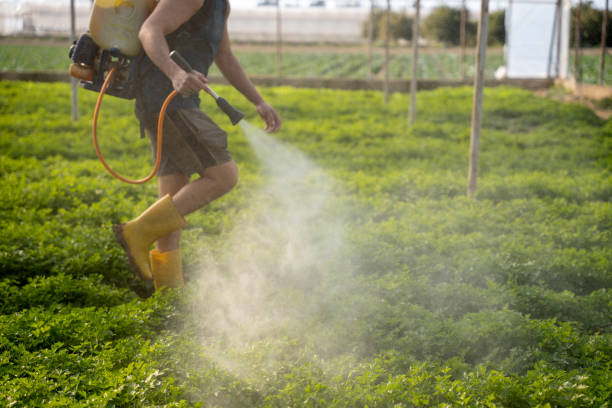 Best Pest Control for Restaurants  in Marengo, IA