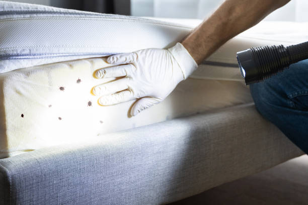 Best Pest Removal Services  in Marengo, IA