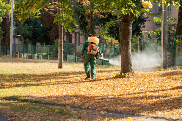 Best Best Pest Control Companies  in Marengo, IA