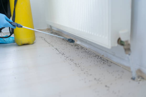 Best Pest Control Near Me  in Marengo, IA
