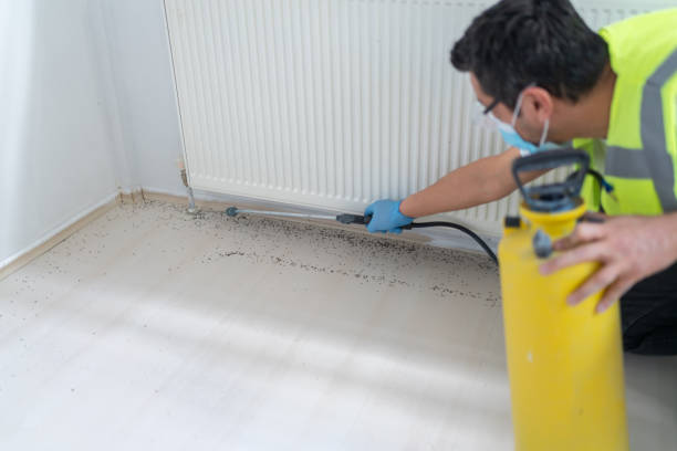 Best Residential Pest Control  in Marengo, IA