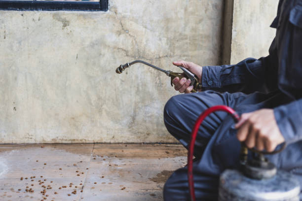 Best Pest Control Near Me in Marengo, IA