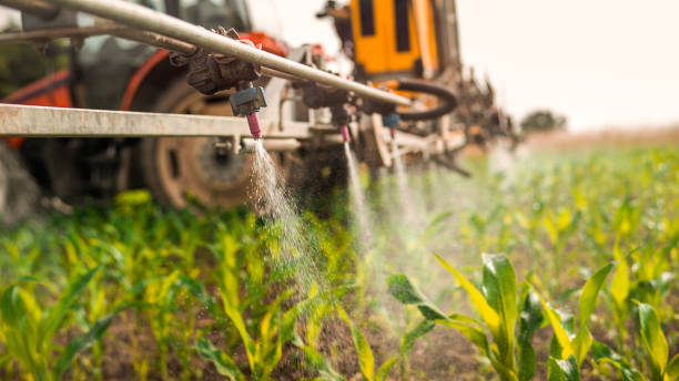 Best Pest Removal Services  in Marengo, IA